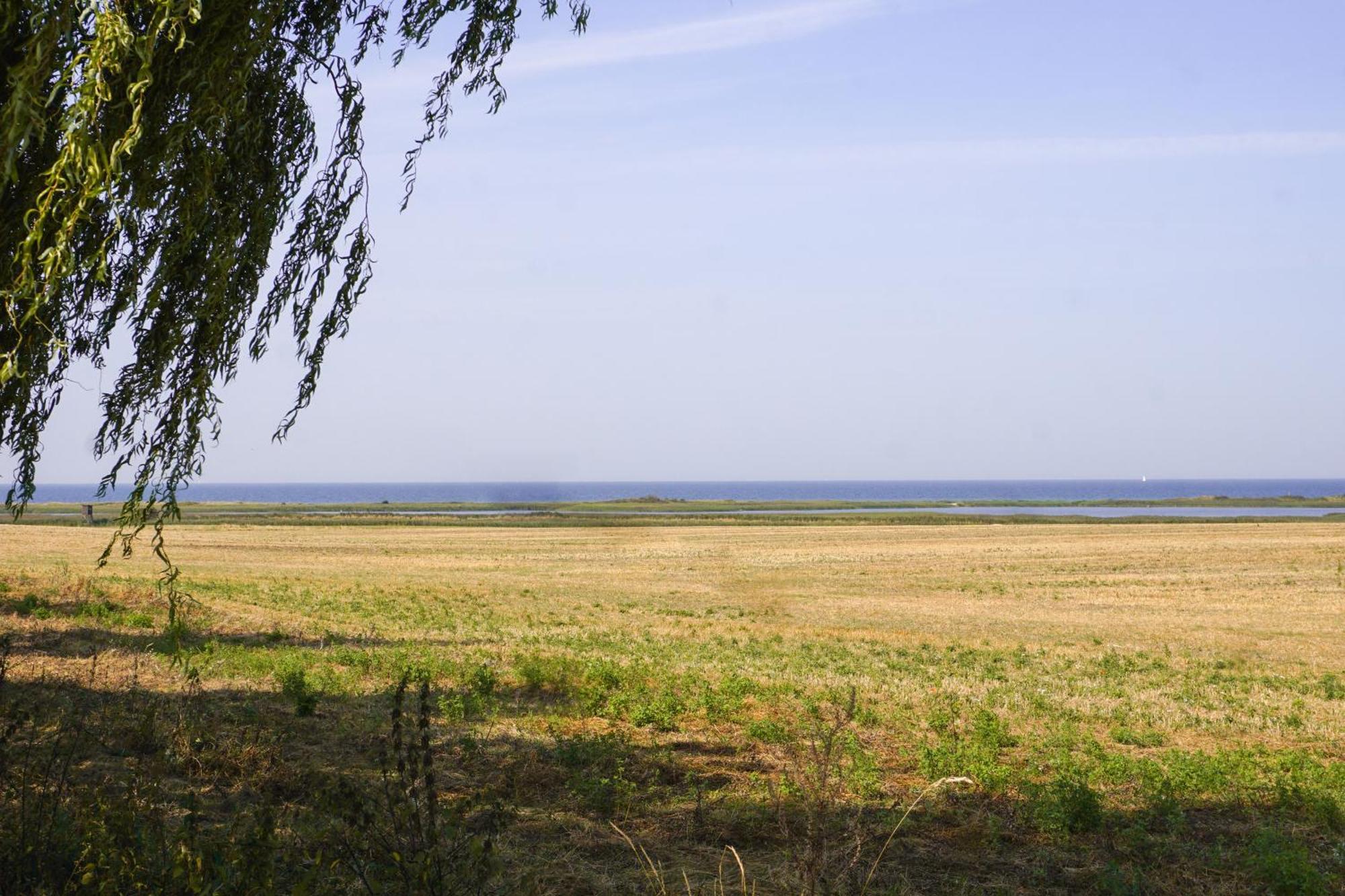 Duenenmeer Ferienwohnung Kühlungsborn Zewnętrze zdjęcie